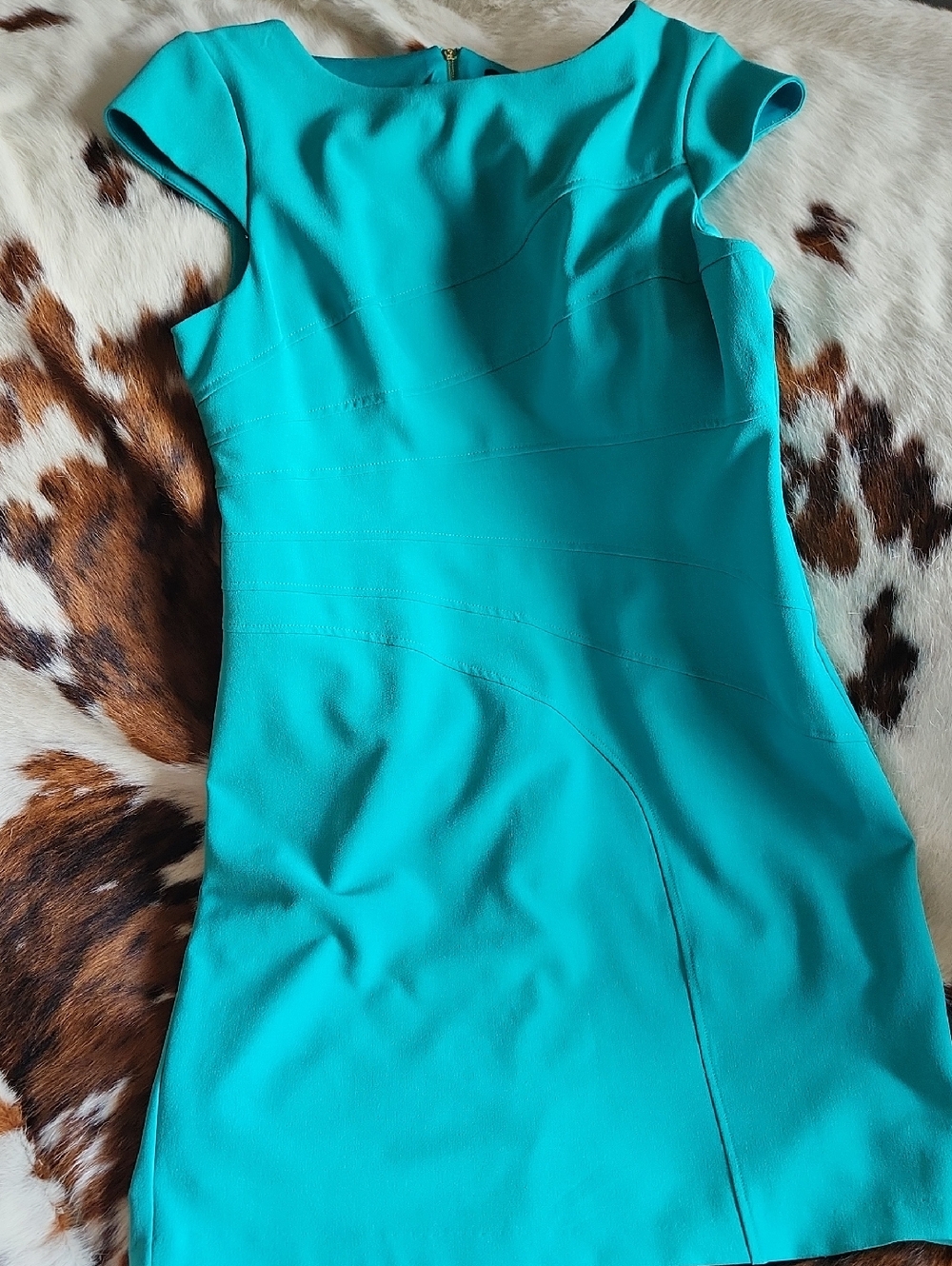 Laura Mint Green Cap-Sleeve Sheath Dress Sz 16